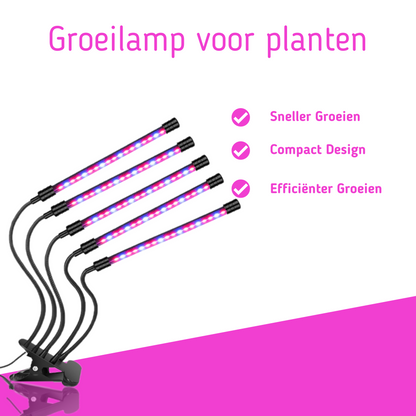 Groeilamp-voor-planten