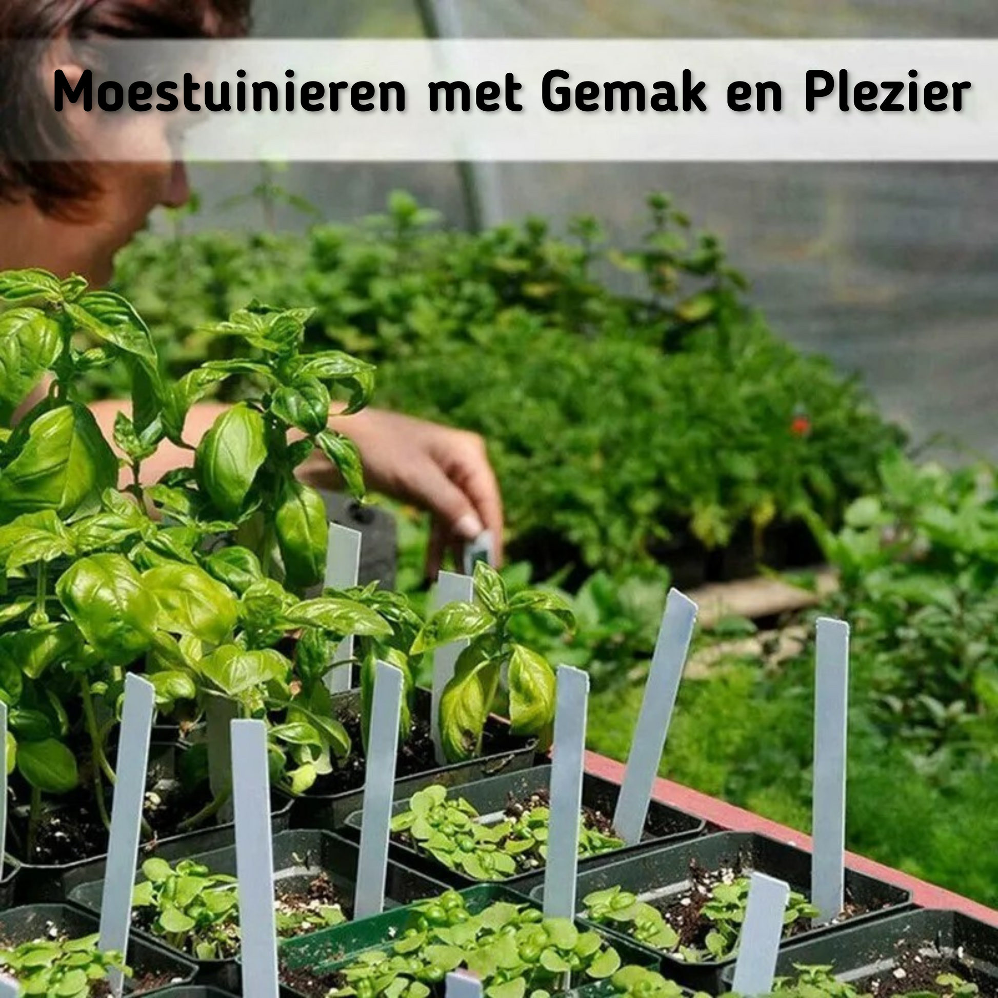 Moestuinbak-beginnen