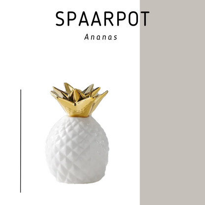 spaarpot